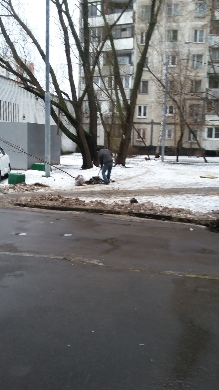 Spring in Moscow - My, Utility services, Landscaping, Spring