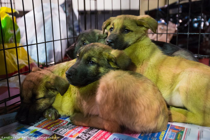 ������ ����� ����� ����������� ������, ����� ������ ��������� ��������