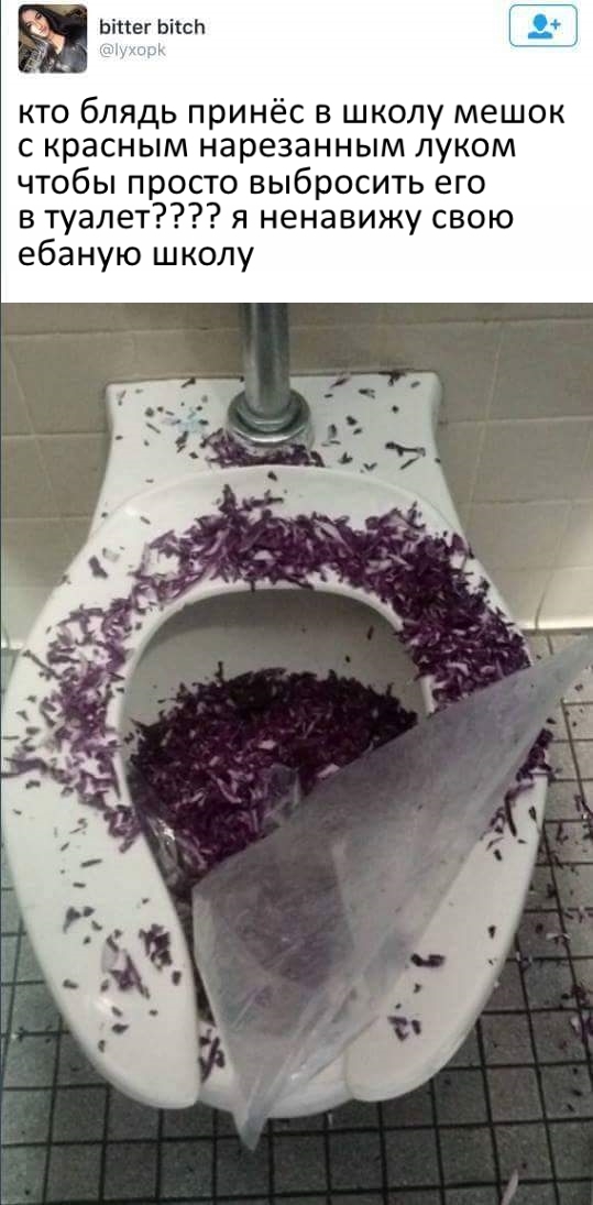 When you don't go to the best school - Toilet, Mat, Twitter, Translation, Onion