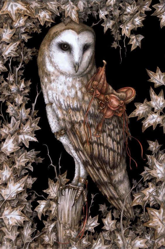 By Adam Oehlers - Art, , Owl, Fantasy, Antelope, Alice in Wonderland, Animals, Longpost