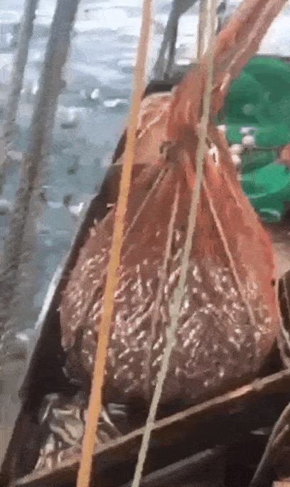 Однако, здравствуйте