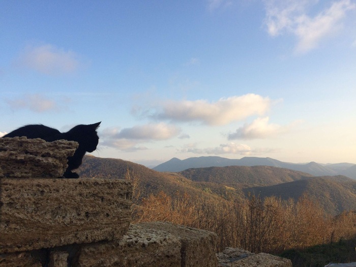 Even the cat was in the mountains, but you are not. - My, cat, The mountains, Wuthering Heights, Hike, Nature
