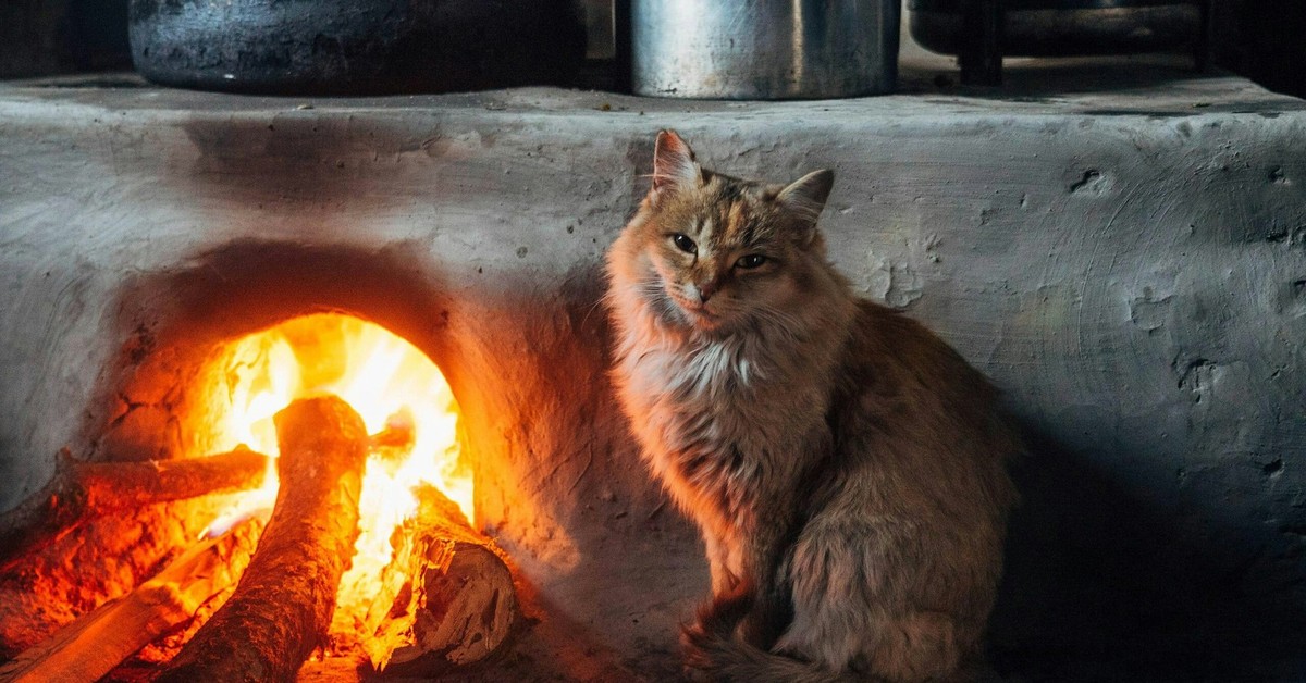 Огонь в русской печи. Кот на печке. Печка с кошкой. Кошка на печи.