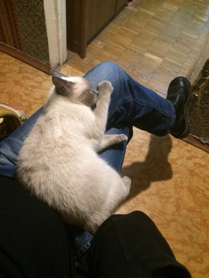 ����������: ������ �������� �� ������?!