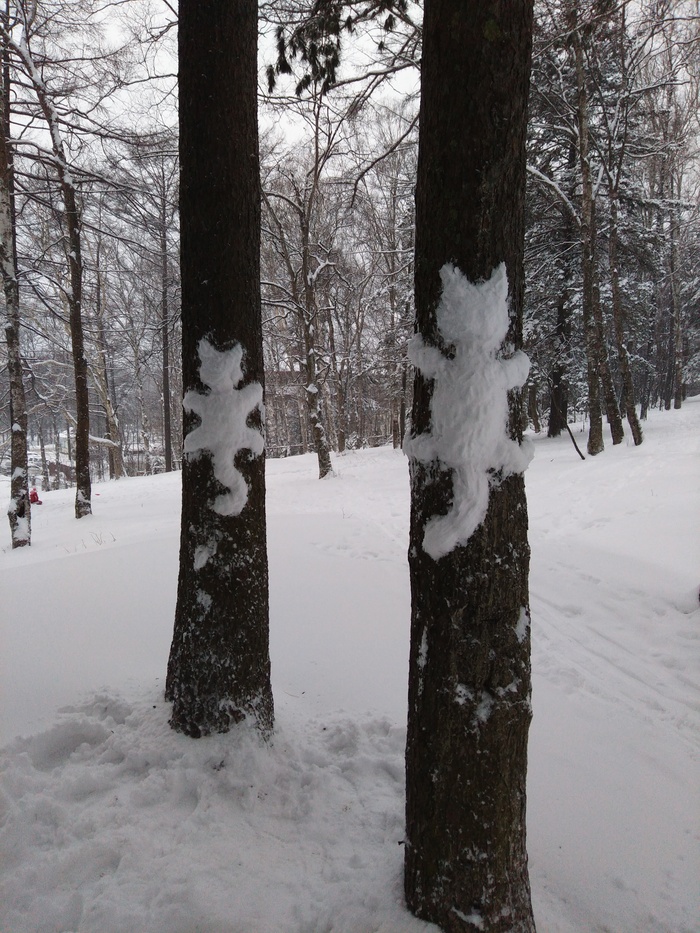 cat snowfall - My, , cat