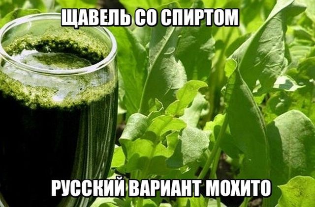 Russian mojito - Humor, , Alcohol