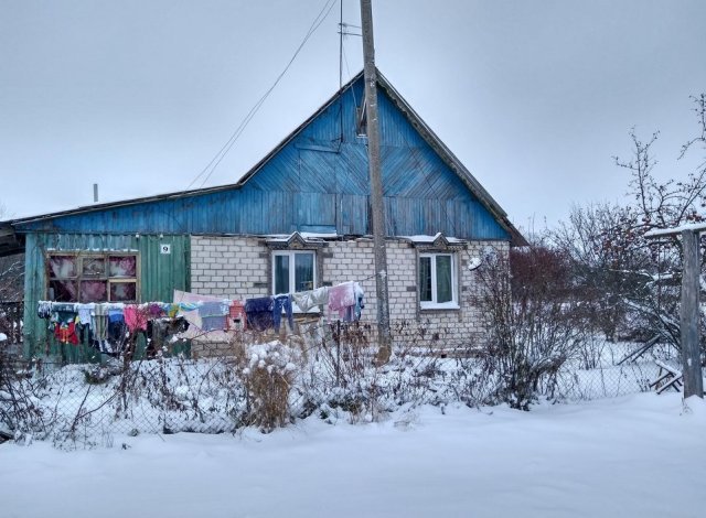 Пока судья оглашала приговор, кошки шныряли возле сумок. - Беженцы из Донбасса, Инвалид, Смоленская область, Длиннопост, Политика