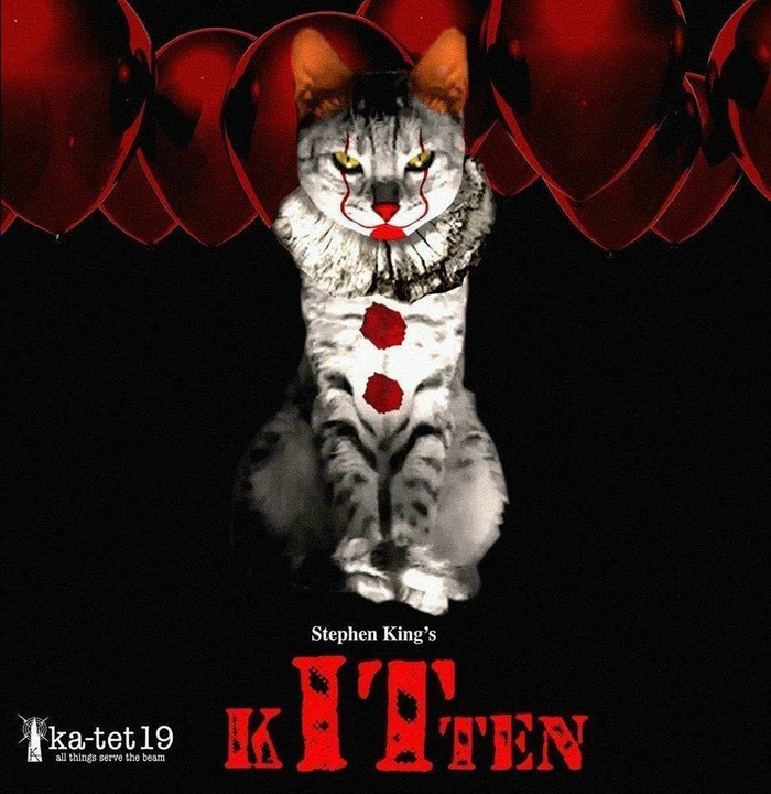 KoTONOK - cat, It, Clown, Pennywise