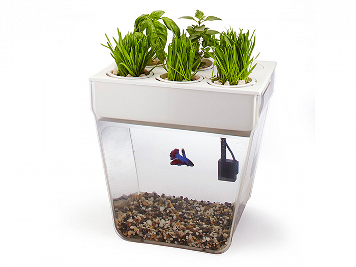 Акваферма AquaFarm | Пикабу