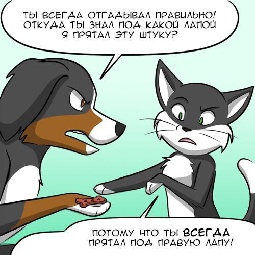 furry crook - My, Comics, GIF with background, Kat swenski, Translation, GIF, Longpost, cat, Dog