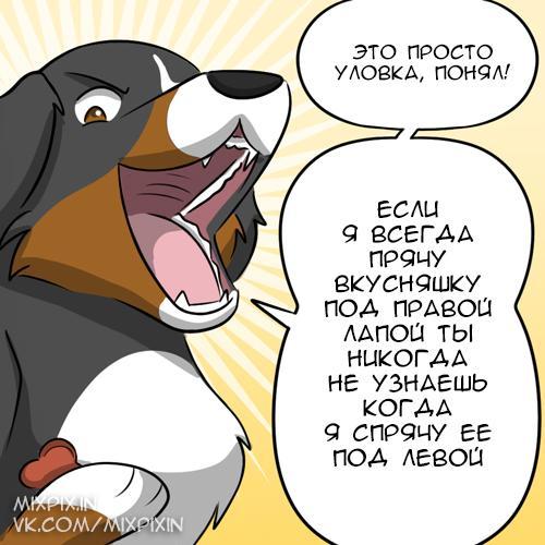 furry crook - My, Comics, GIF with background, Kat swenski, Translation, GIF, Longpost, cat, Dog