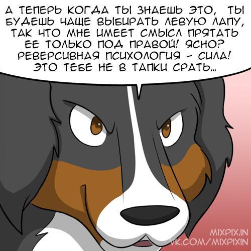 furry crook - My, Comics, GIF with background, Kat swenski, Translation, GIF, Longpost, cat, Dog