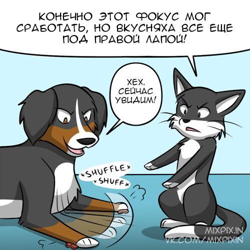 furry crook - My, Comics, GIF with background, Kat swenski, Translation, GIF, Longpost, cat, Dog