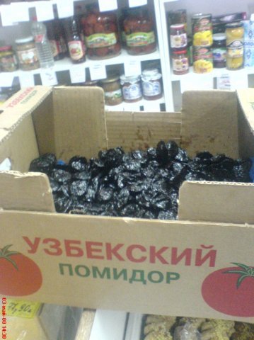 Tomatoes in 2008) - Tomatoes, My, 2008, Tyumen