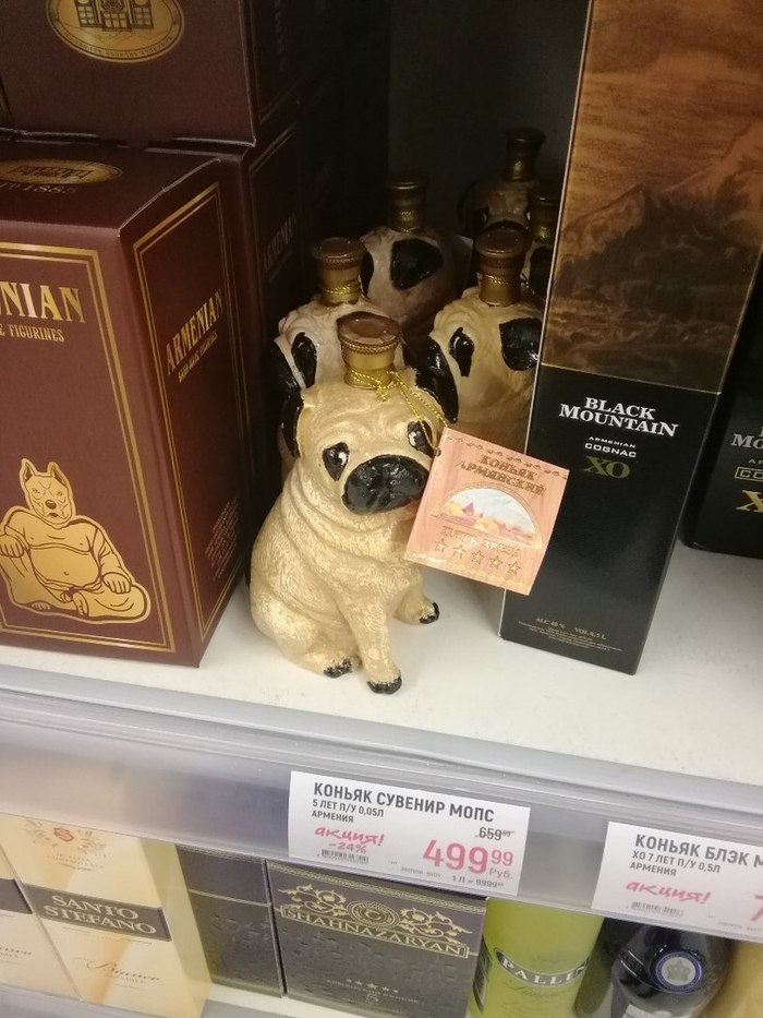 Just pug cognac - Pug, Cognac, Score, Products, Kripota, Milota