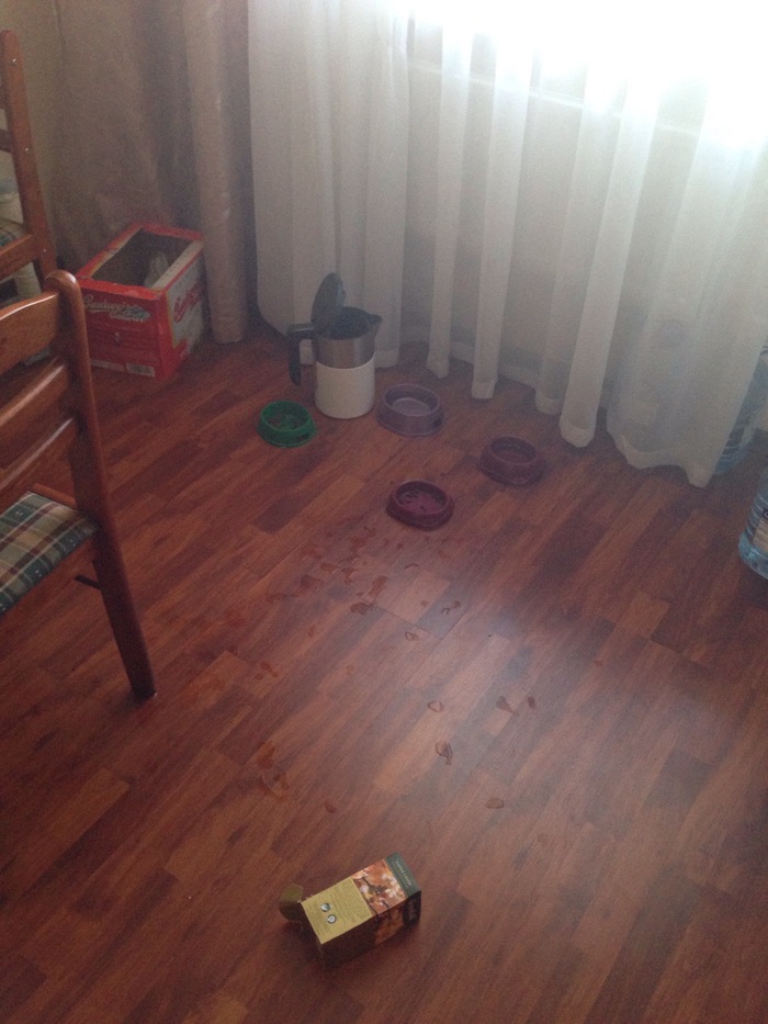 ������ ����� �������� ��������