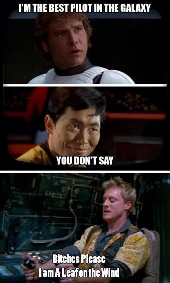 The best pilot in the galaxy. - Star Wars, Star trek, Wash, Han Solo, , The series Firefly