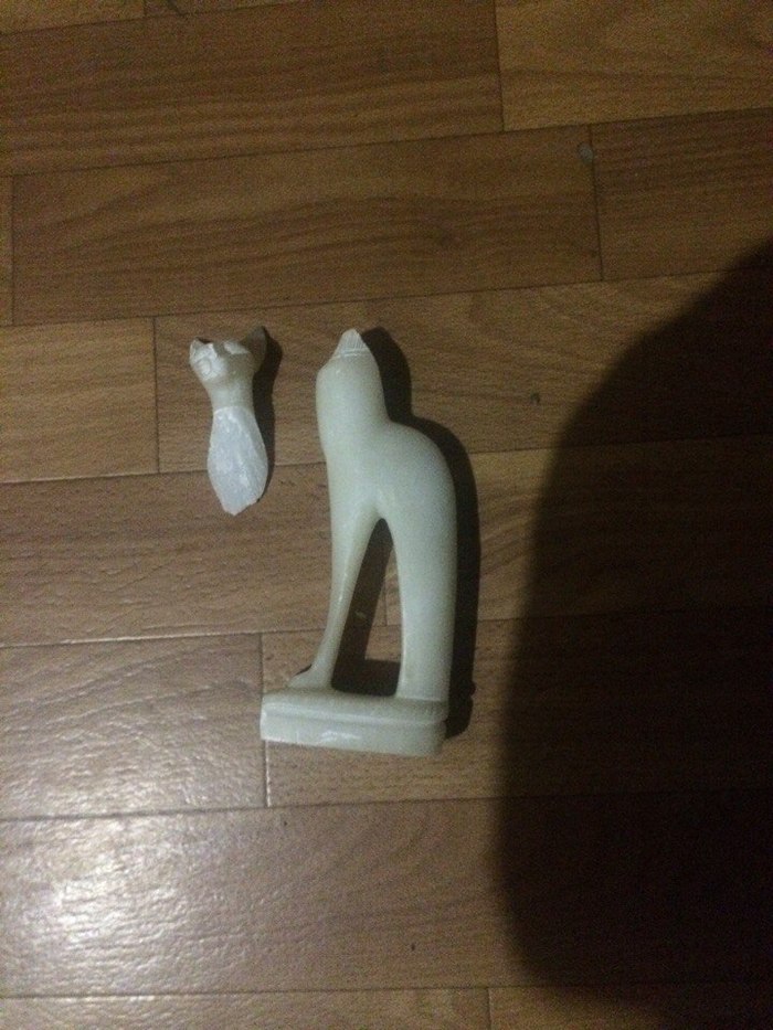 Не терпит конкуренции Кот, Конкуненция