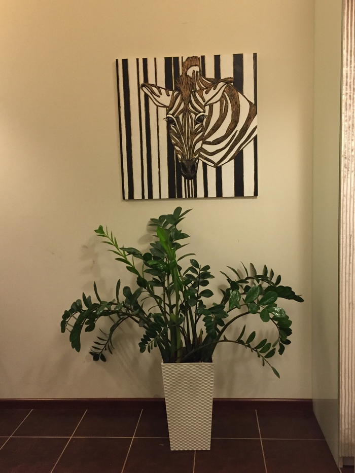 Volumetric painting Zebra - My, Three-dimensional image, , Painting, Interior painting, Design, Designer, Interior Design, Longpost