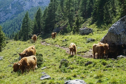 Day five Rifugio San Sebastian - Rifugio Tissi - My, Italy, Dolomites, Hike, The mountains, , , Longpost