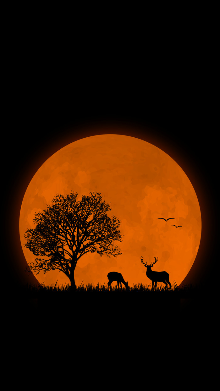 Deer on the background of the moon - Deer, moon, Night, beauty, Wallpaper, Deer