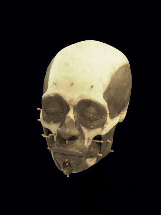 Reconstruction of the face of a noble lady who lived in Peru 1200 years ago - Peru, Scull, Reconstruction of appearance, Longpost