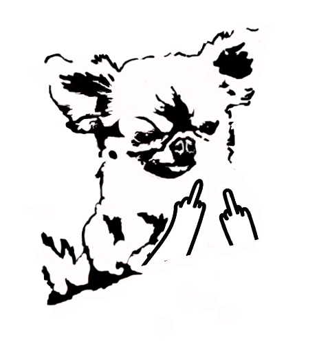 For important negotiations... - My, Chihuahua, Pre-talks, Fuck you, Fak (gesture)