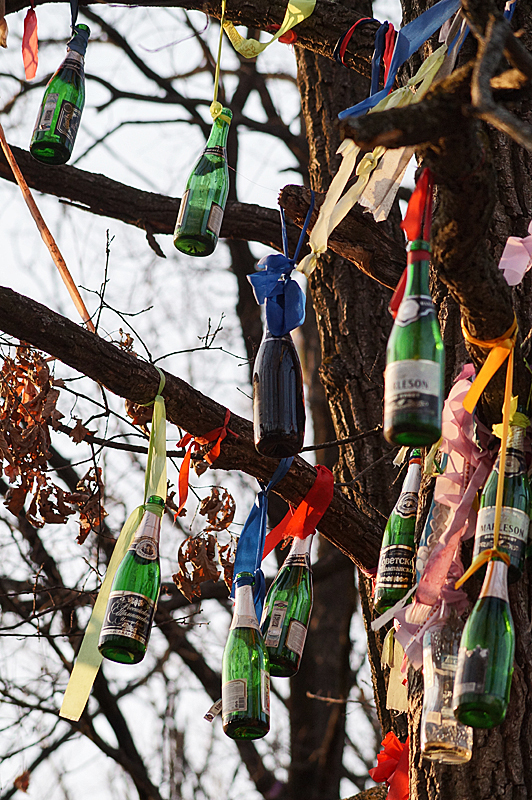 ����� �������� ���� � ��� �� �������?