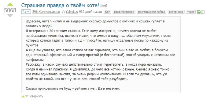 Набрал 1000+ подписчиков и исчез... - Кот, Обман, Может что-то случилось