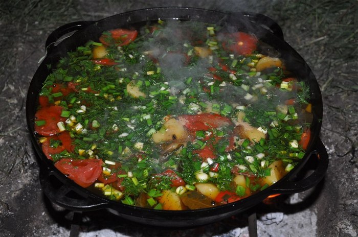 Shulyum at the stake! - Cooking, Recipe, Hike, Туристы, Hunting, Fishing, Meat, Tourism, Longpost