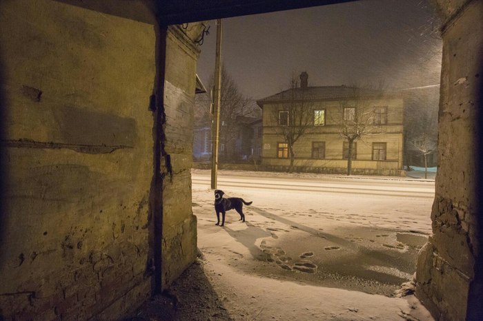 Просто фото