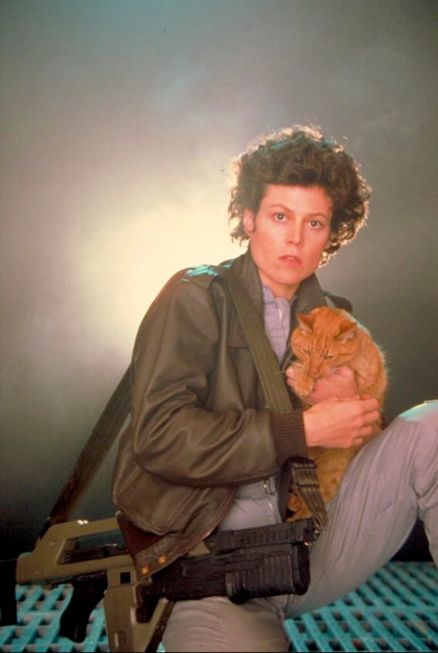 Jones came)) - cat, Stranger, Sigourney Weaver, Longpost, Woolen, Jonesy