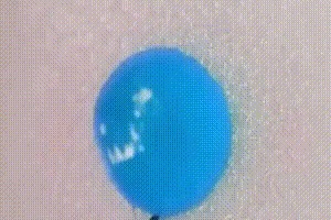 Муравьи пьют Pepsi Blue.