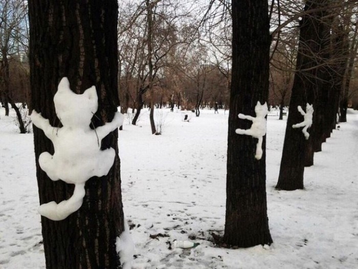 Коты прилетели!