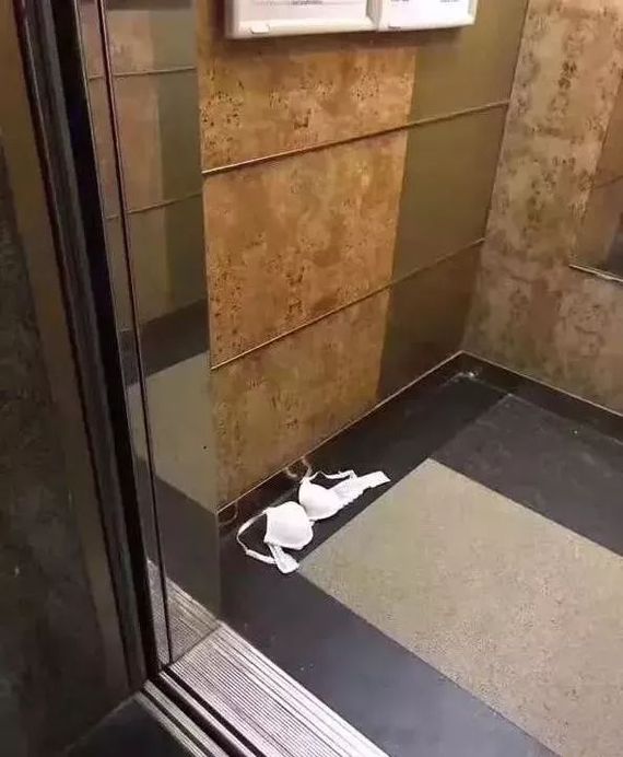 Elevator find - Elevator, Bra