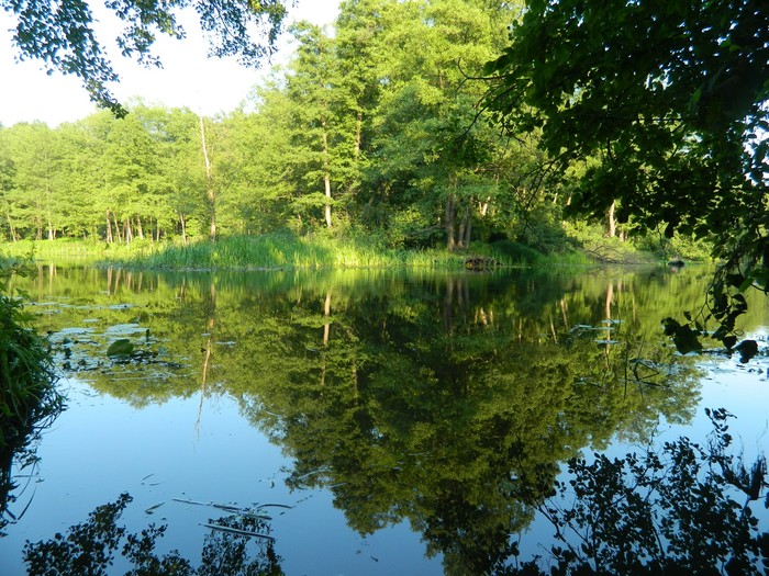 Archival - My, The photo, Summer, Nature, The nature of Russia, Longpost