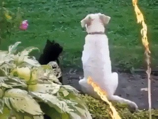 Друг, ты выглядишь напряженным, давай помогу расслабиться ....