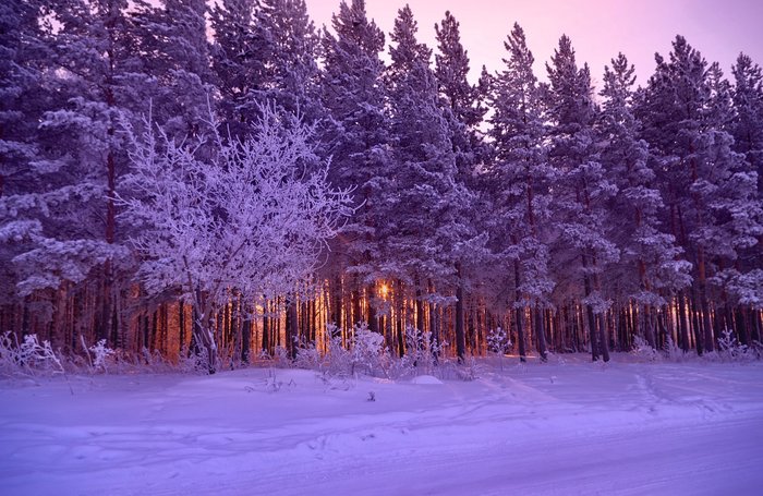 How do you celebrate Saturday morning? - Morning, My, A bike, Winter, Russia, The photo, Longpost, HDR, Siberia