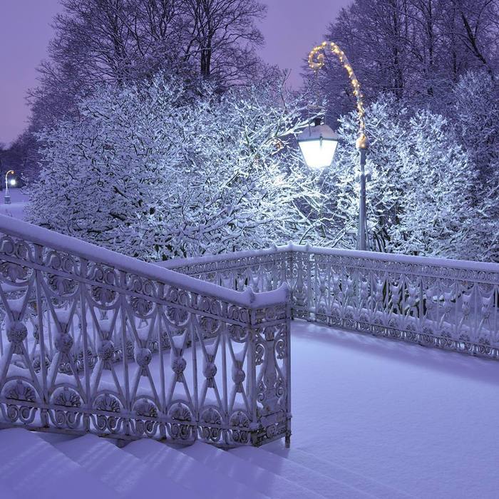 Тишина и покой сиреневой ночи возле Елагинского дворца.