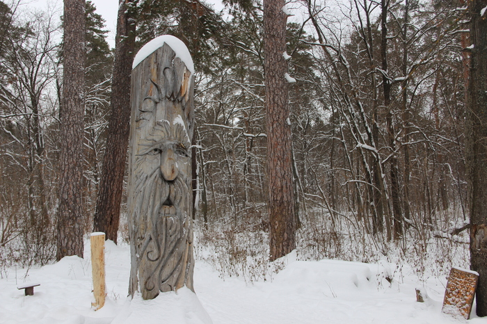 Idol - Tolyatti, Winter, Forest, The photo, Wood carving, Idol, My