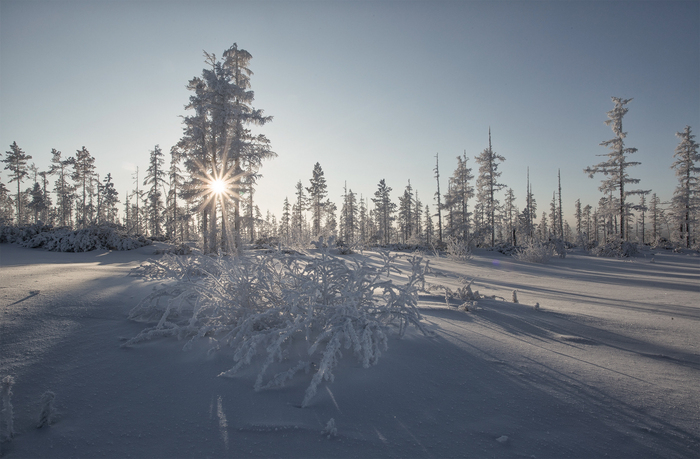 In December - The photo, Winter, December, Neryungri, Yakutia, Russia