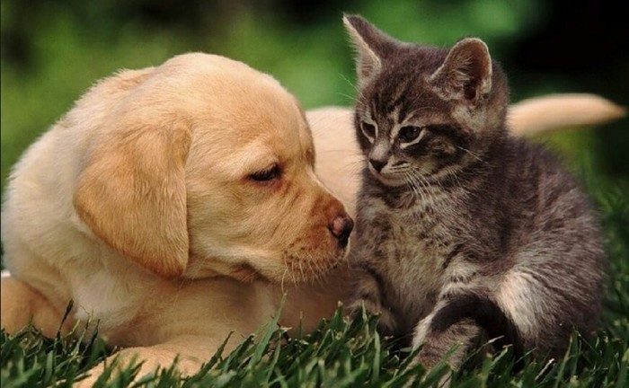 ��� �����?