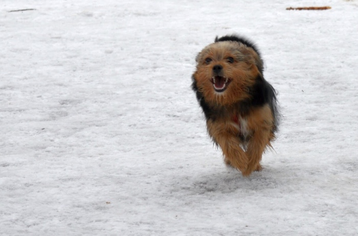 Когда прогулка в радость))