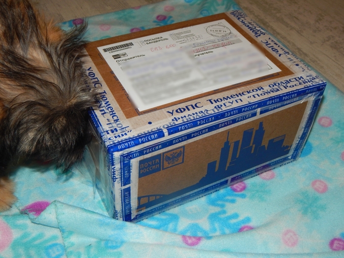 Gift from the Snow Maiden from Tyumen - Presents, Thank you, Longpost, New Year, Secret Santa, Gift exchange, My