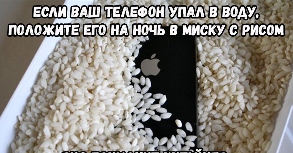 Высушить телефон в домашних условиях. Что делать если телефон упал в воду. Телефон в рисе. Айфон в рисе. Что делать если уронил телефон в воду.