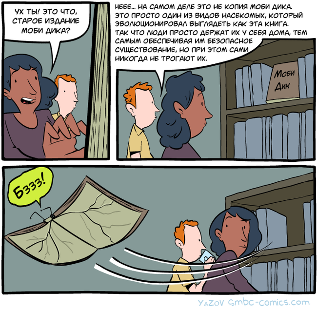 Evolution of insect mimicry - Smbc, , Comics, Mimicry