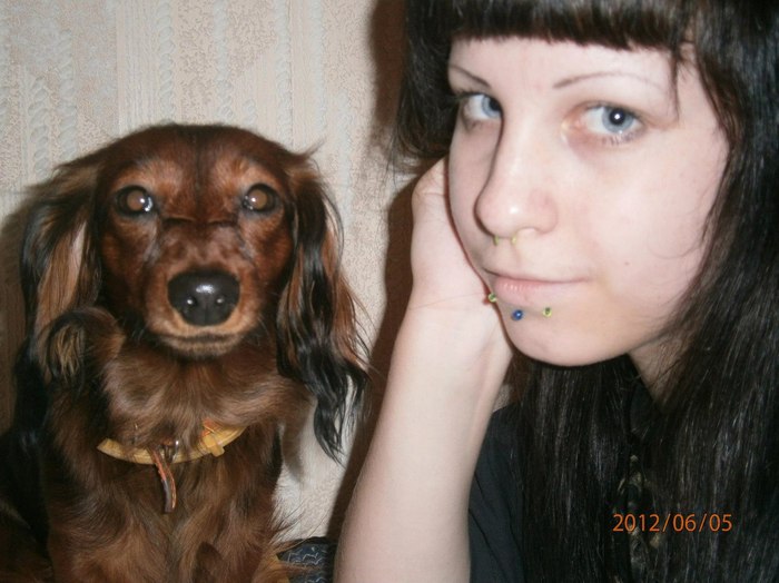 Передержка собак 4