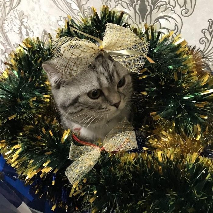 ��������� � ������ ����