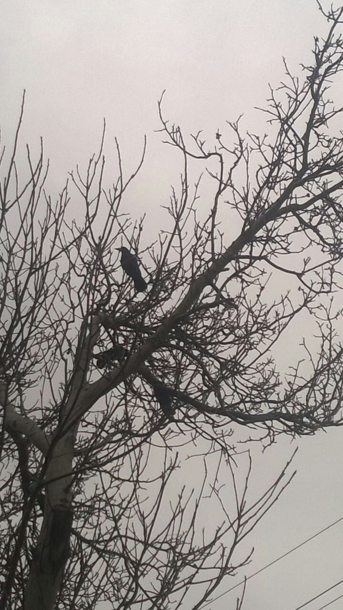 ��� ���� �� ������ ������...