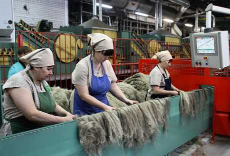 What do Belarusian flax mills lose money on? - My, Agronews, Republic of Belarus, , Factory